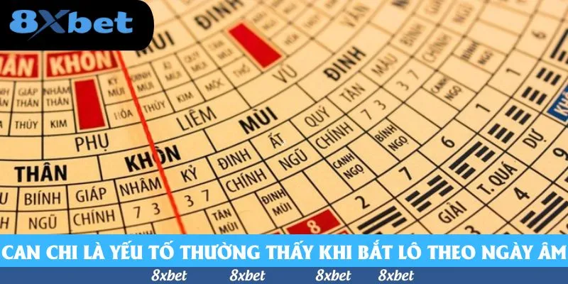 Can chi là yếu tố thường thấy khi bắt lô theo ngày âm